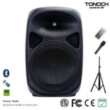 Hot Sale Portable 8 Inches Plastic Sound Speaker avec fonction multifonction